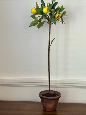Decorative Faux Lemon Potted Topiary in Clay Pot